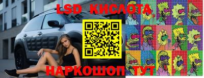 прущие грибы Абинск