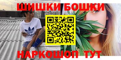 прущие грибы Абинск