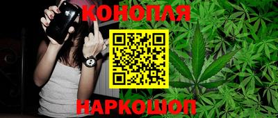 прущие грибы Абинск