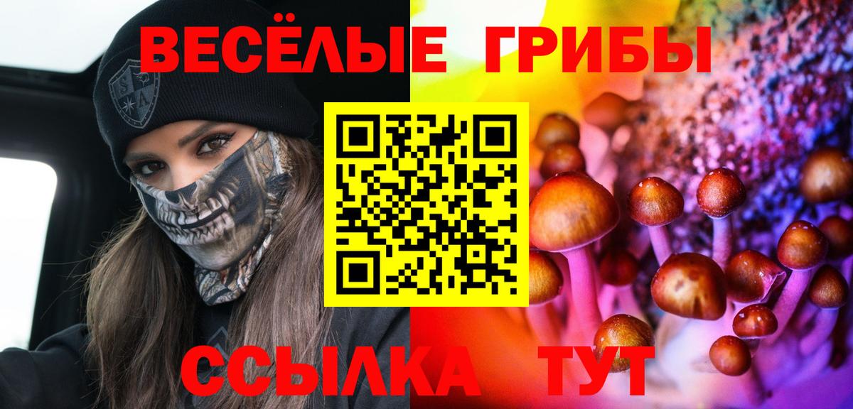 Галлюциногенные грибы Psilocybine cubensis  Вход с VPN  Псилоцибиновые грибы мицелий  Россия 