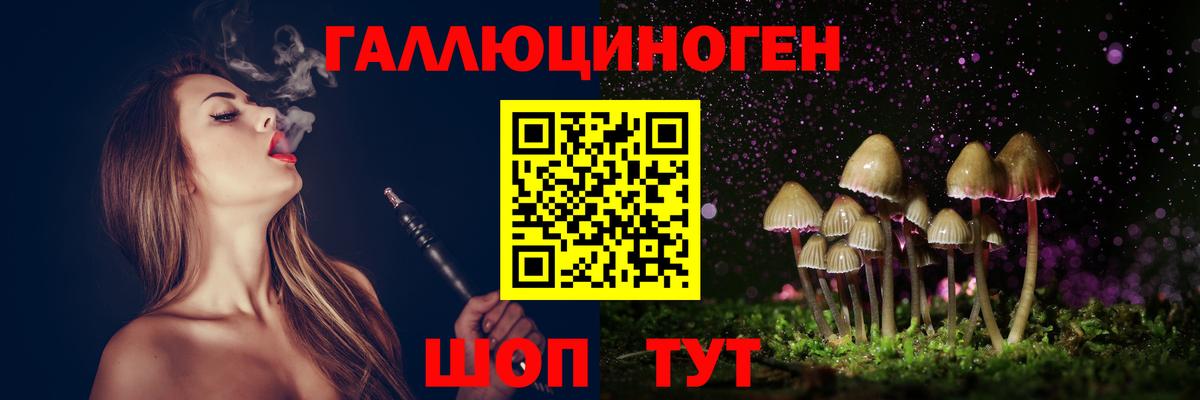 Галлюциногенные грибы мицелий Россия